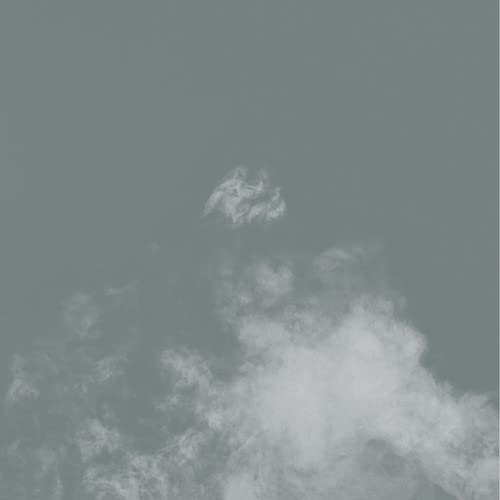Gray, cloudy sky with a faint, blurred mountain shape.