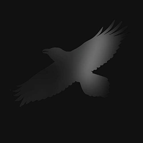 A black silhouette of a bird in flight against a black background.