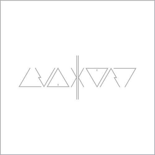 White vinyl record cover with abstract geometric line art design.
