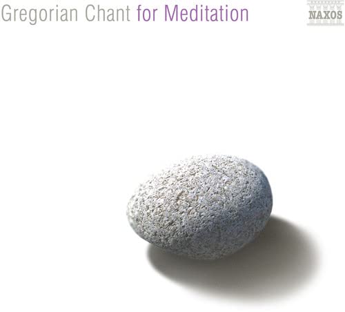 CD cover with a gray pumice stone on a white background.