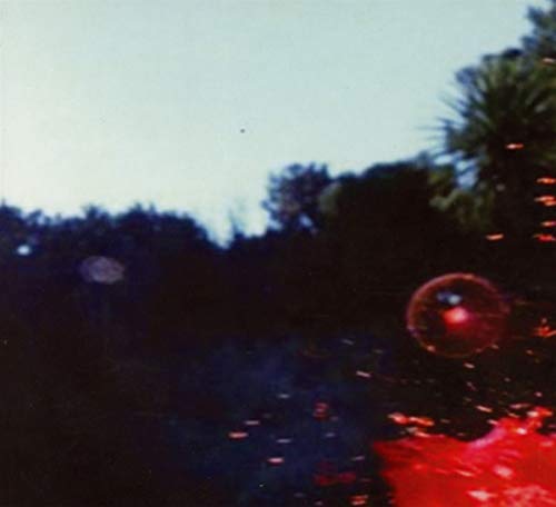 Dark, blurry landscape with red bubbles and light flares.