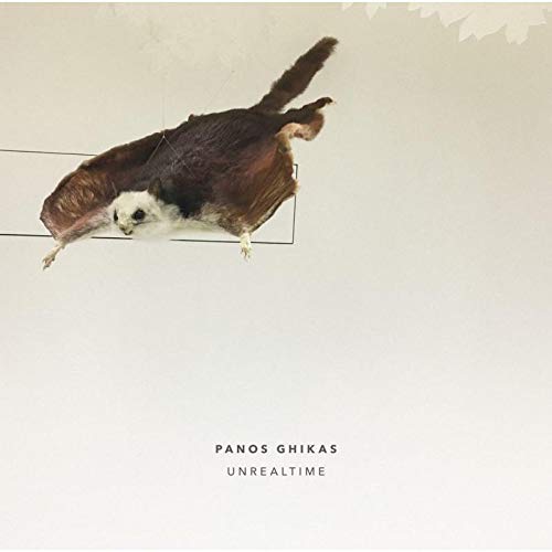 A vinyl record cover featuring a sugar glider in mid-air on a white background.