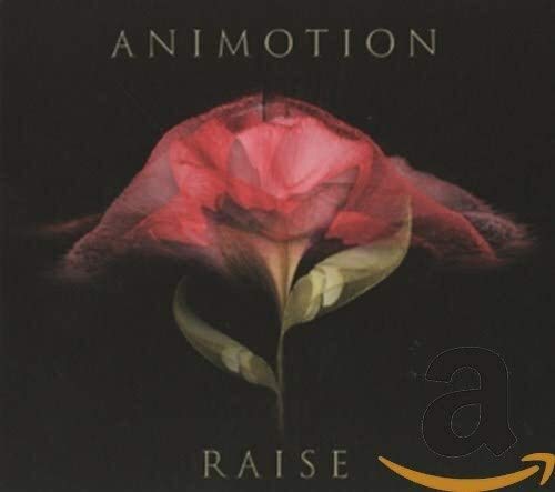 CD cover for Animotion’s “Raise Your Expectations” featuring a red flower.