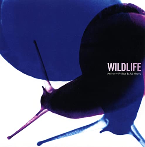 CD cover featuring a blurred, dark blue image of a snail.