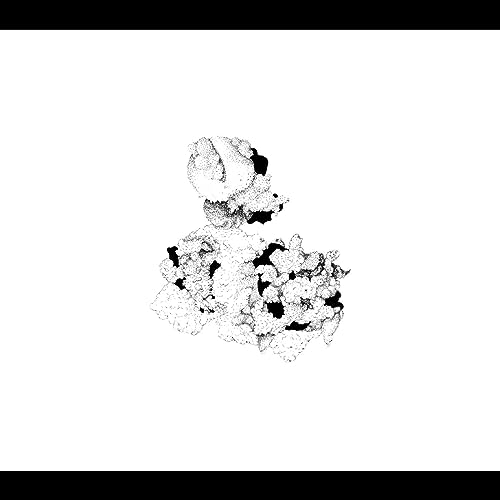 CD cover with abstract black and white speckled ink blot design.