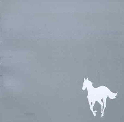 A gray background with a white silhouette of a running horse in the corner.