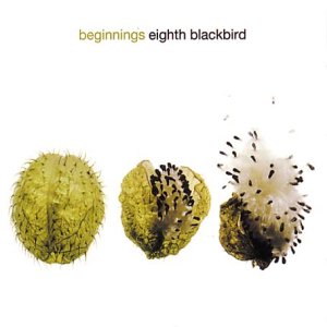 CD cover for "Beginnings" by Eighth Blackbird, featuring a bursting dandelion on a white background.