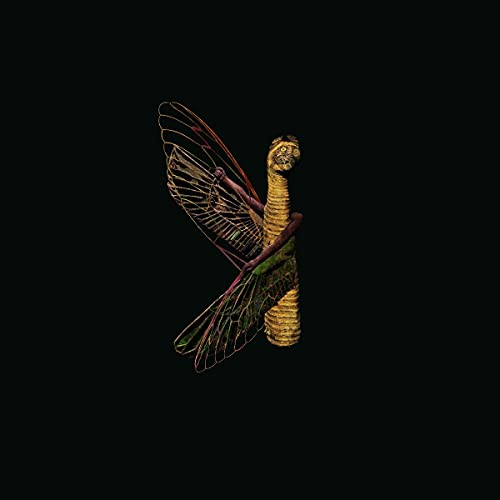 Black background with a stylized insect-like figure forming a letter.