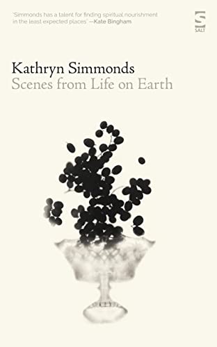 Scenes from Life on Earth (Salt Modern Poets)