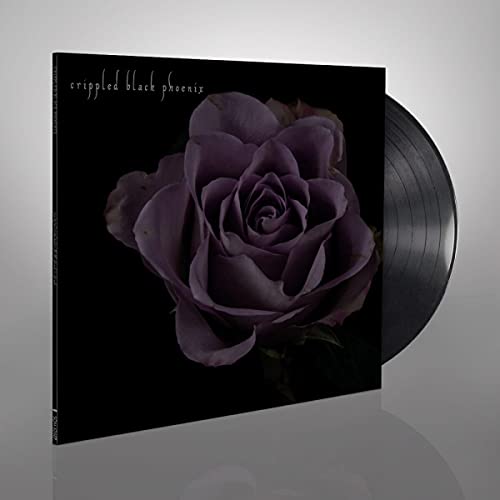 Vinyl record with album art featuring a dark purple rose.