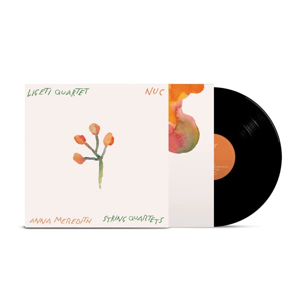 Vinyl record with cover art featuring abstract floral watercolor painting.