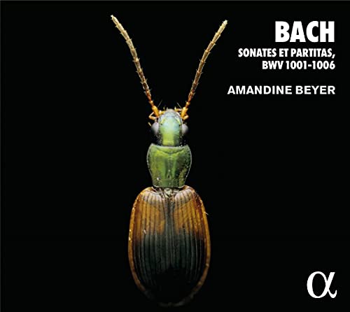CD cover featuring a longhorn beetle and text: Bach, Sonates et Partitas.