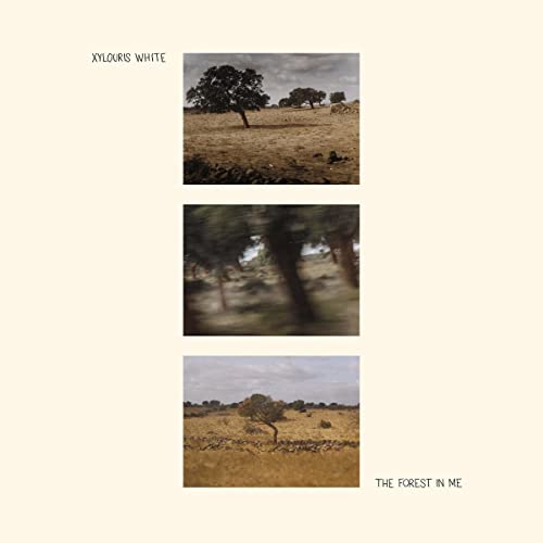 Album cover for Xylouris White’s “The Forest In Me” with landscape imagery.
