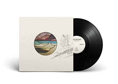 Vinyl record with colorful circular artwork and sketched floral design.