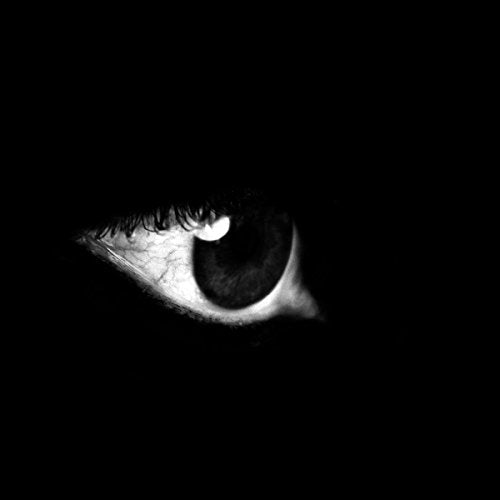 A close-up of a black and white eye on a black background.