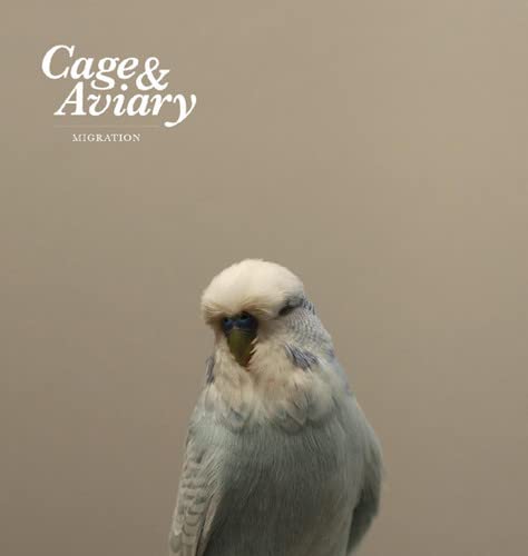 CD cover featuring a close-up of a small, blue and white budgerigar.