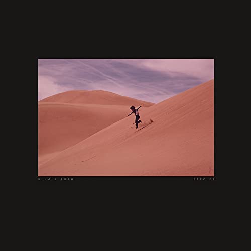 CD cover: lone figure running down a sandy desert dune under sky.
