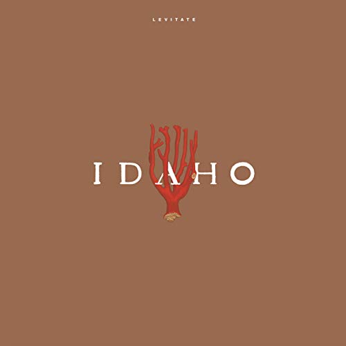 Brown album cover with "Idaho" and red plant graphic, "Levitate" text above.
