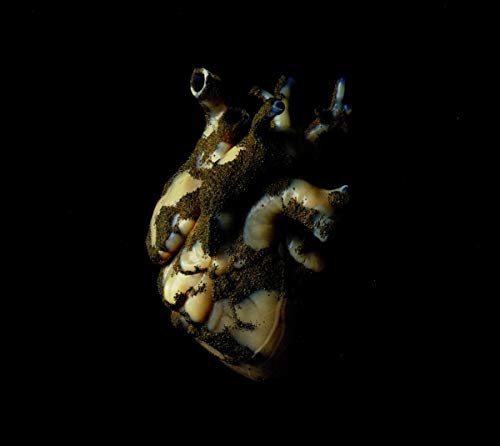 A human heart model covered in dark soil, against a black background.