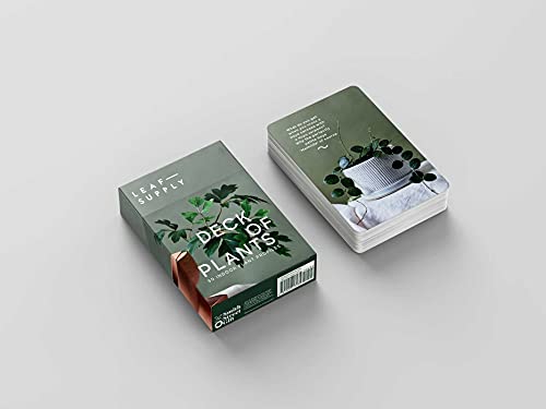 Leaf Supply Deck of Plants: 50 Indoor Plant Profiles