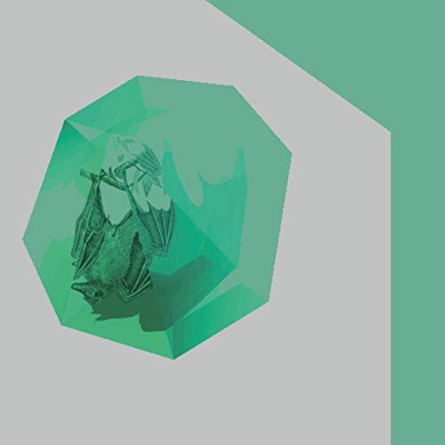Green and gray abstract image featuring an upside-down bat.