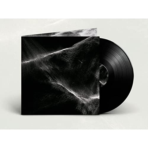 Black vinyl record with a dark, abstract cover featuring blurred shapes.