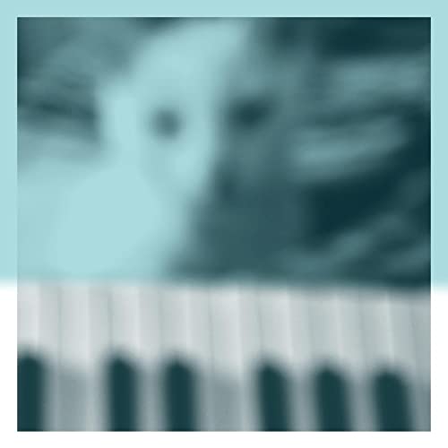 Blurred portrait over piano keys, teal and white color scheme.