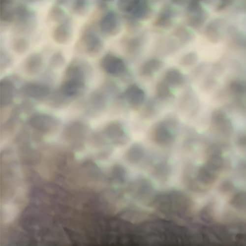 Abstract, textured vinyl record cover with iridescent, cellular patterns.
