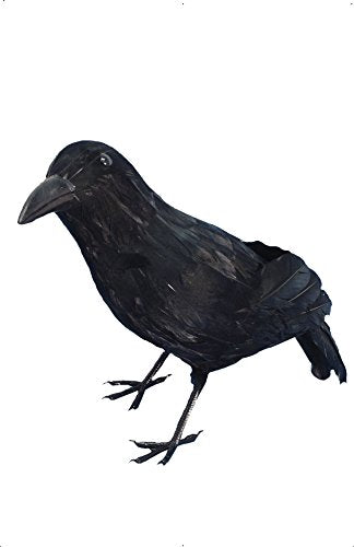 Smiffys 13-inch Crow Feathered Realistic - Black