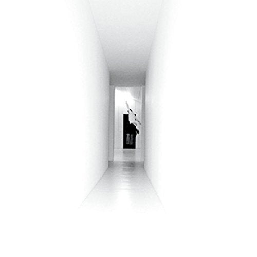 The image shows a white hallway with a doorway leading to a room containing a black object. For accessibility purposes, a concise alt text could be: "A white hallway with a black object in a doorway."