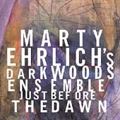 "Album cover with abstract background and white text 'Marty Ehrlich's Dark Woods Ensemble Just Before the Dawn'."