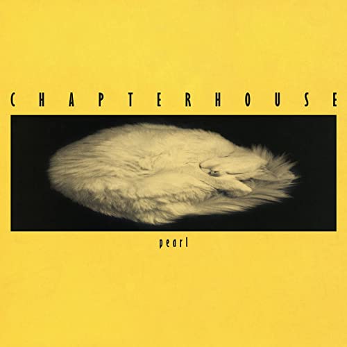 Yellow album cover for Chapterhouse’s “Pearl” featuring a curled-up white cat.