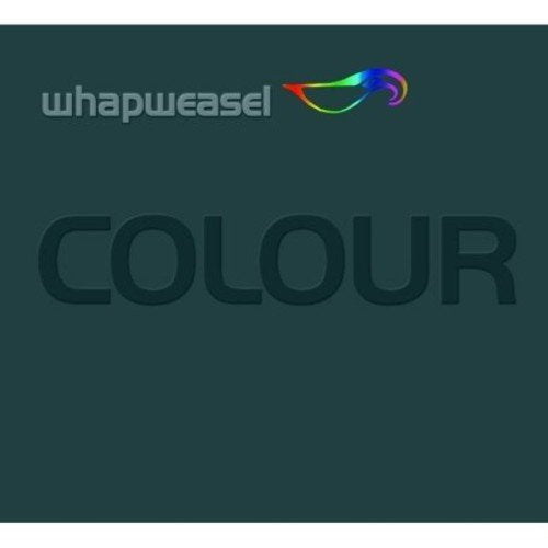 Dark green square with "whapweasel" and rainbow logo above large, dark "COLOUR" text.
