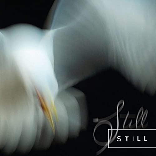 CD cover with blurred white flowers and the word "Still".