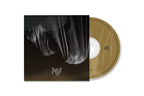 CD case and disc for the album "Dina" with abstract cover art.