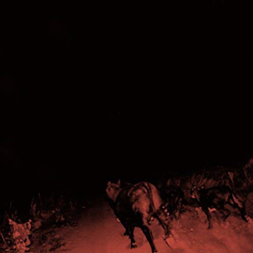 Dark, grainy image of horses running on a red-tinted dirt road.