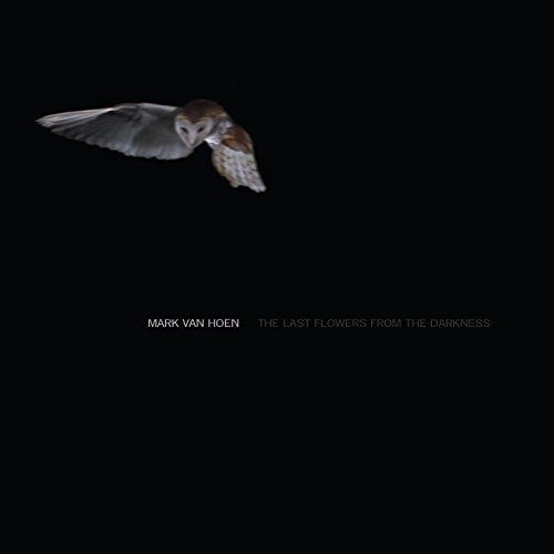 Brown owl in flight against a black background with text below.