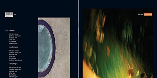 CD case for Malka Spigel’s “Gliding & Hiding,” abstract green imagery.