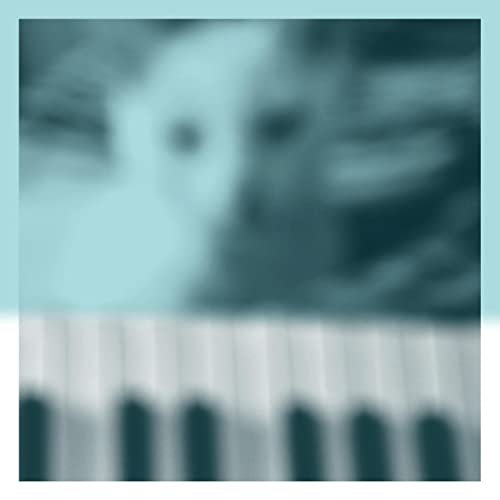 Blurred portrait over piano keys, album cover for Peter Broderick.