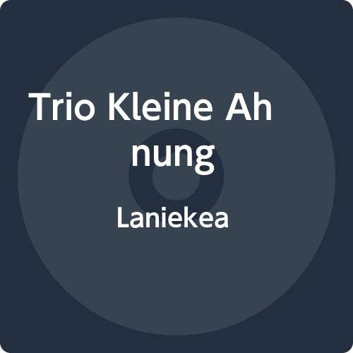 A dark blue CD with white text "Trio Kleine Ahnung Laniekea" on a dark blue background.