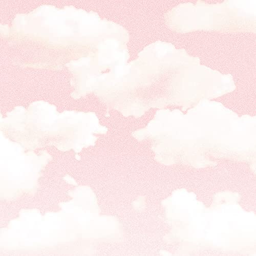 CD cover with a grainy pink background and white clouds.