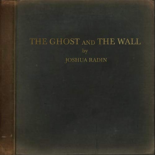 Dark vinyl record cover with gold text: "The Ghost and the Wall" by Joshua Radin.
