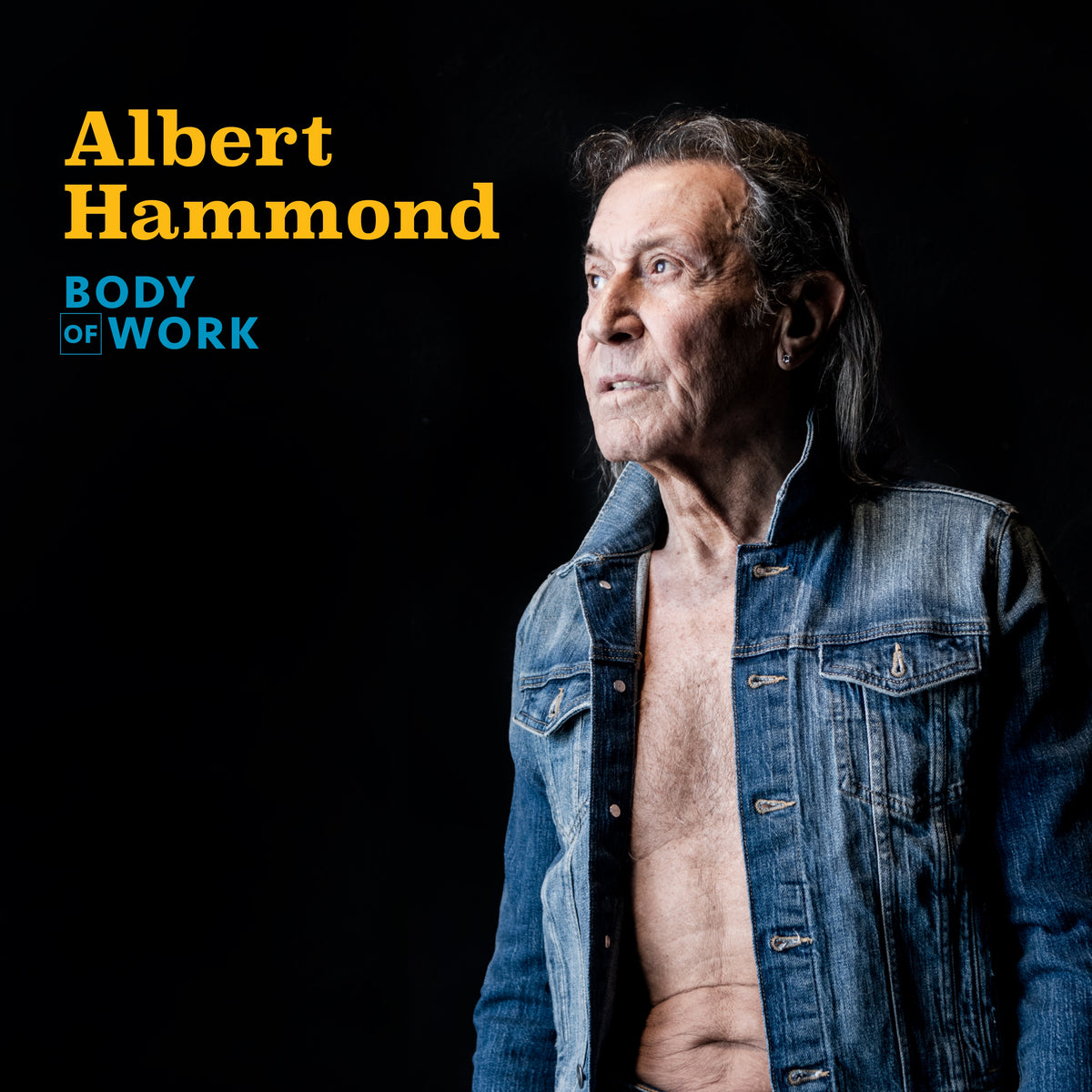 Albert Hammond portrait for "Body Of Work" vinyl album cover.