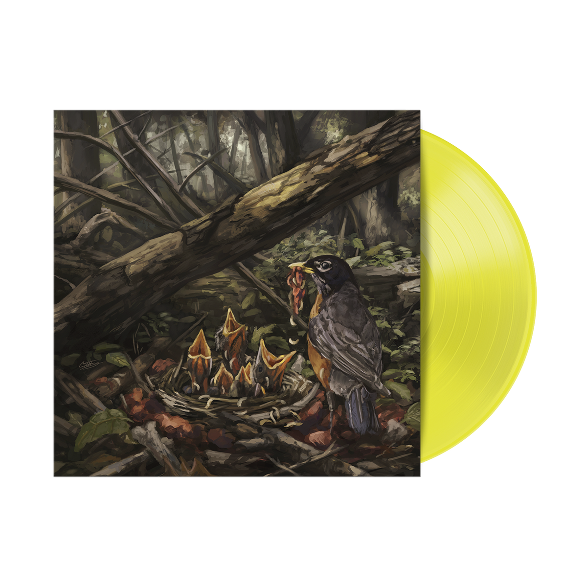 Vinyl record with painted cover of a bird feeding chicks in a forest.