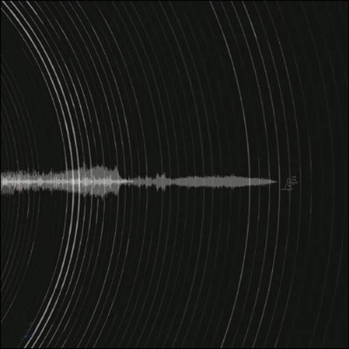 CD cover with abstract soundwave design in grayscale.