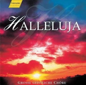 "Album cover with 'Hallelujah' title, featuring a vibrant sunset with red and orange clouds."