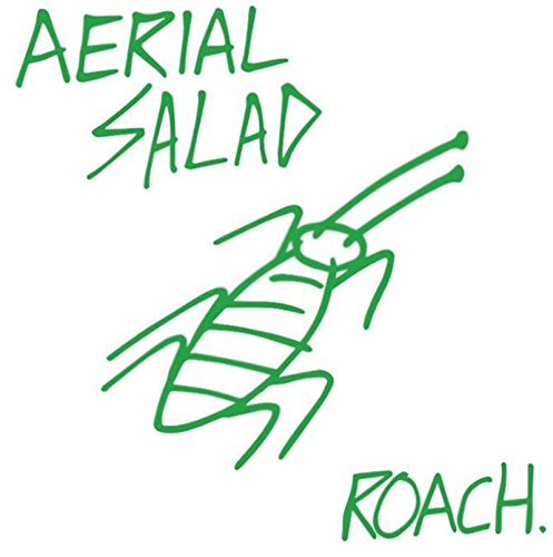 Green line drawing of a cockroach above the text "Roach.