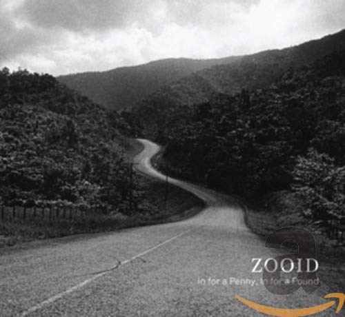 Black and white album cover with a winding road and the word "ZOOID".