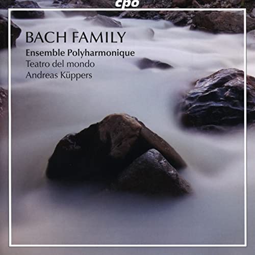 CD cover for “Motets of the Bach Family” with misty rocks.