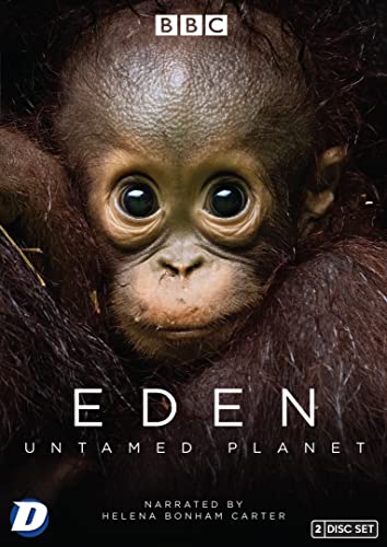 Close-up of a young orangutan face on the Eden Untamed Planet DVD cover.